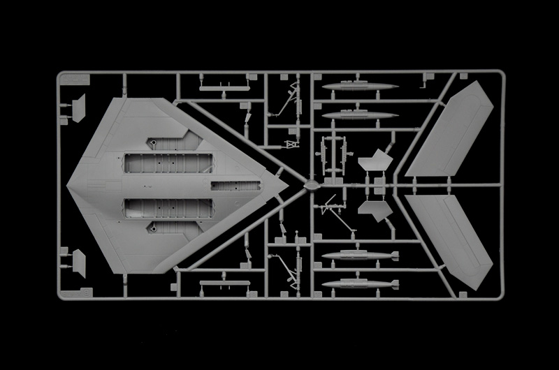 1421_sprue1