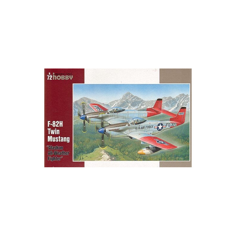 special hobby twin mustang 03.09.2020