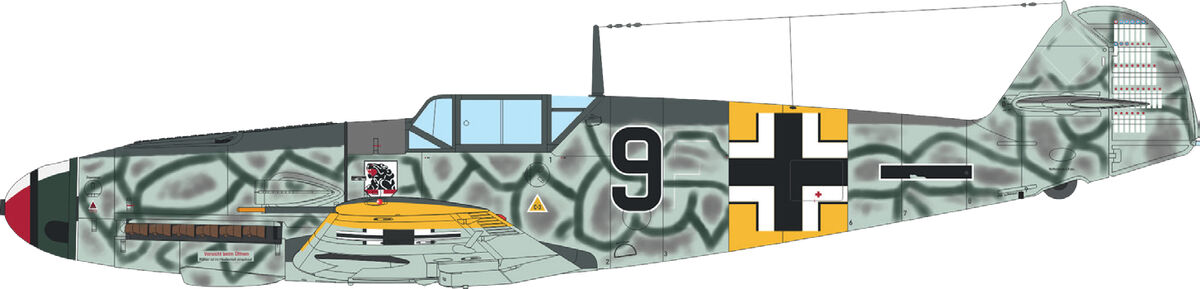 55